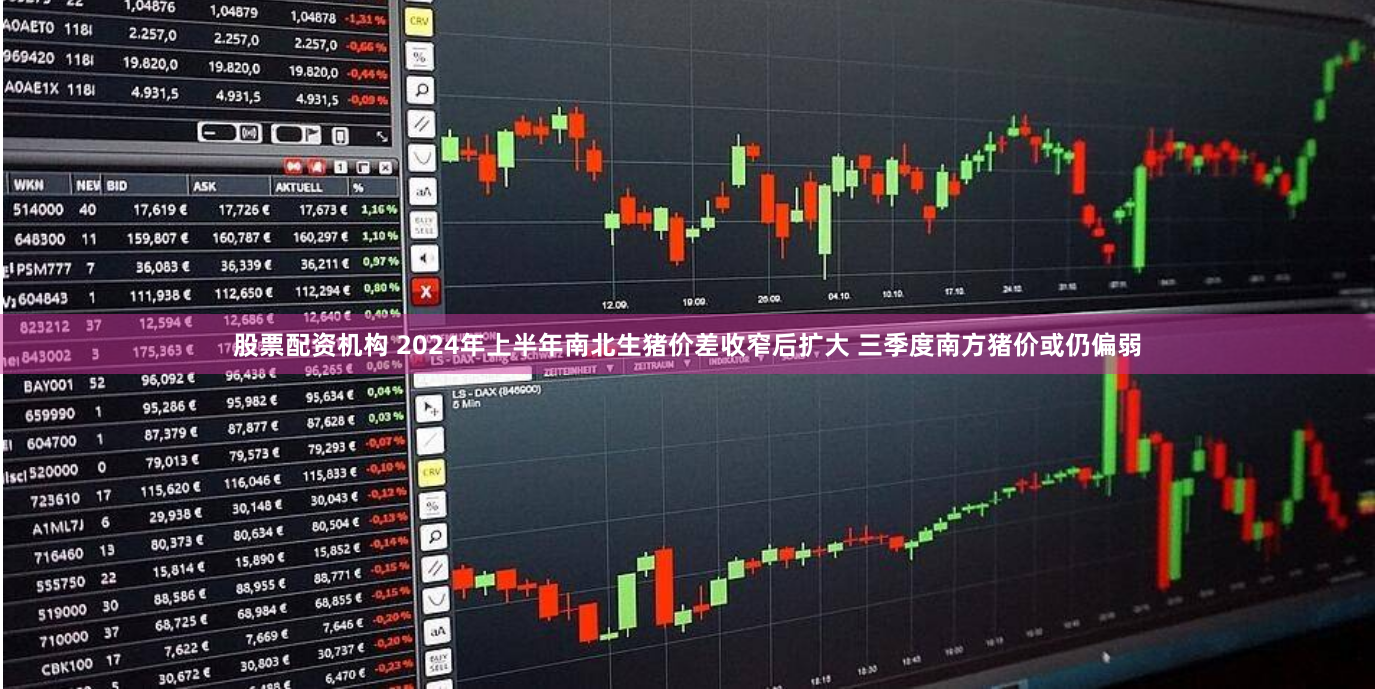 股票配资机构 2024年上半年南北生猪价差收窄后扩大 三季度南方猪价或仍偏弱