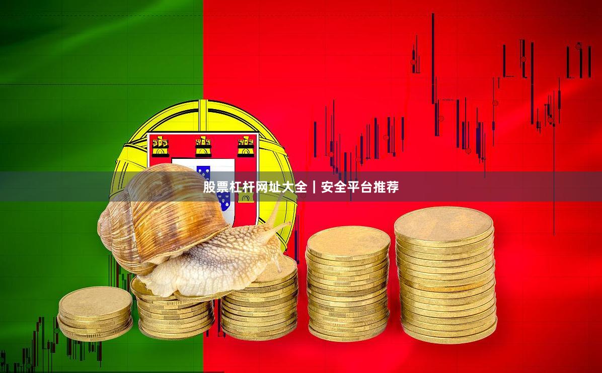 股票杠杆网址大全｜安全平台推荐